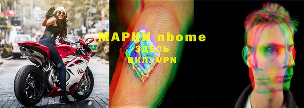 хмурый Арсеньев