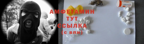 хмурый Арсеньев