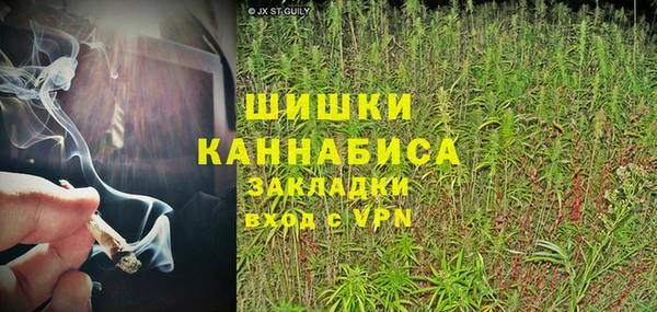 хмурый Арсеньев