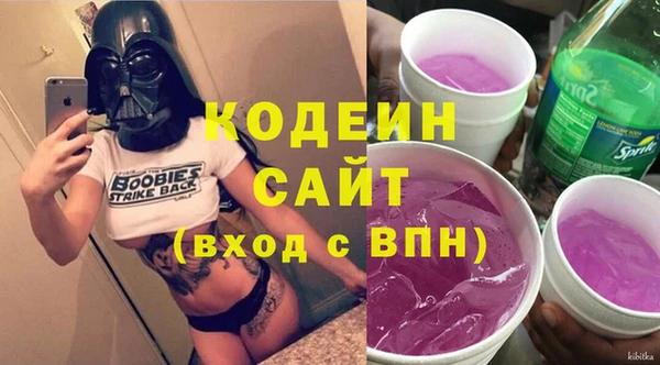 хмурый Арсеньев