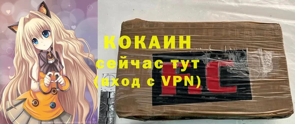 хмурый Арсеньев